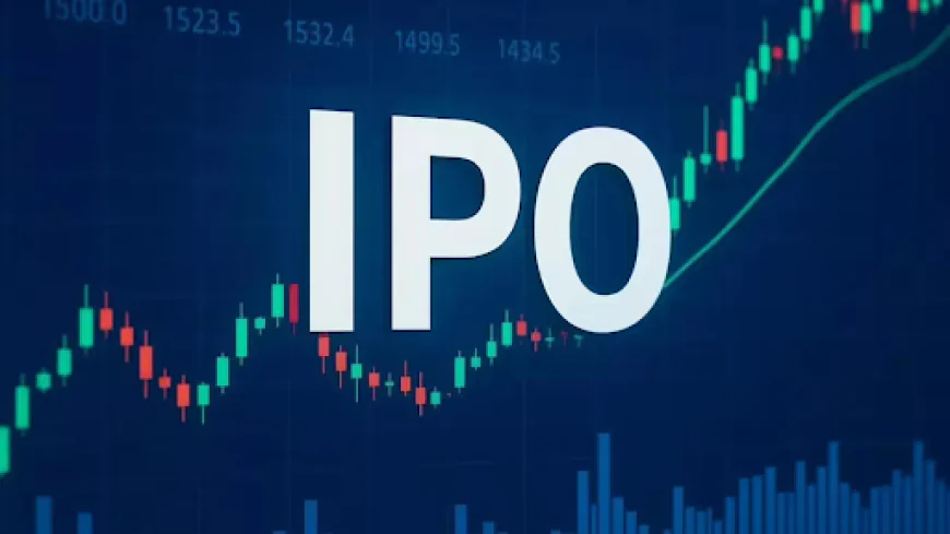 How Initial Public Offerings (IPOs) Work: A Simple Guide for New Investors