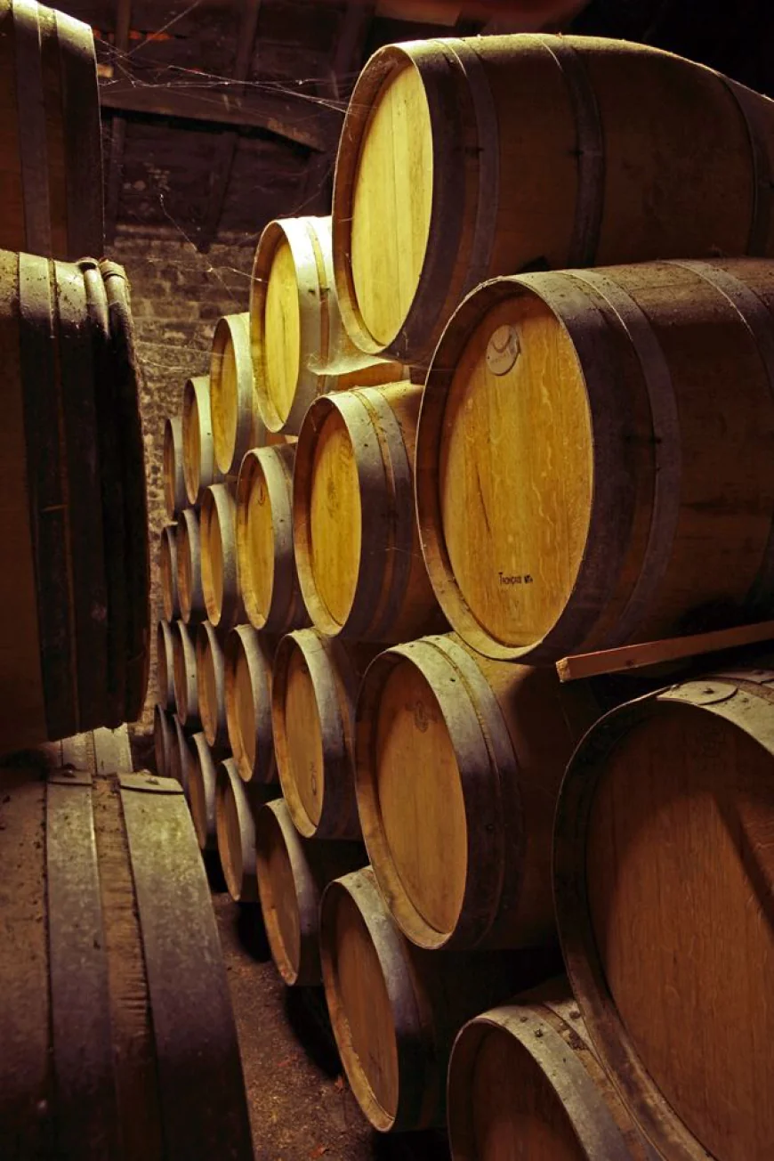 How  Cognac Is Made: A Simple Guide to the Production Process