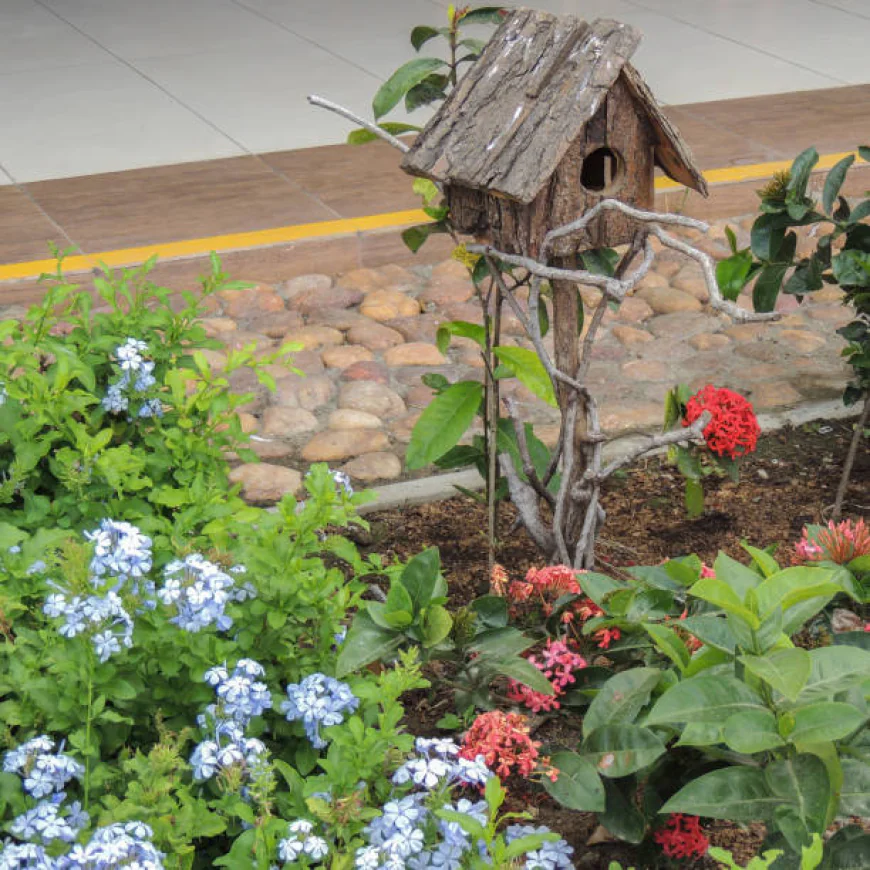 How to Design a Garden That Attracts Birds Naturally