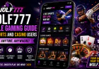 Wolf777 Mobile Gaming Guide for Sports and Casino Users