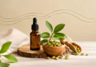 Everything You Need to Know About Cardamom Essential Oil