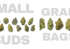 Why THCa Bundles Are the Smarter Way to Explore Hemp