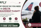 What Proof Do You Need for a Delta Bereavement Flight?