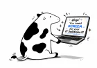 Job Application API: How It Works and What It's Actually Good For