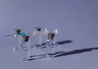 Dengue Vaccines Market Size, Trends, Drivers, and Growth Outlook 2026–2033