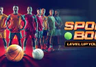 How Gold365 Organises Cricket, Sports and Account Features