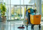 How Los Angeles Homes Stay Clean Amid Busy Lives