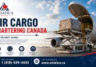 Air Cargo Chartering Canada Services for Time-Critical Shipments