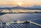 How PV Module Manufacturers Are Powering the Future of Global Solar Energy