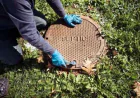Emergency Septic Repair: What to Do Before the Crew Arrives