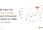 RBD Palm Oil Price Forecast 2026 Shows Stable Global Trend