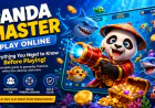 Panda Master Play Online: Everything You Need to Know Before Playing