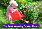 The Art of Watering: A California Native Garden Guide