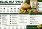Strategic Sourcing Considerations for Organic Amla Powder in Commercial Manufacturing