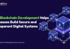 How Blockchain Development Helps Businesses Build Secure and Transparent Digital Systems