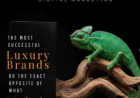 Luxury Brand Advertising Strategy | Luxora Digital Marketing