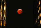 How Will the 2nd Lunar Eclipse of 2026 Affect Your Zodiac Sign?