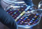 Genetic Testing in Dubai for Better Health Insights