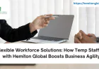 Flexible Workforce Solutions: How Temp Staffing with Hemiton Global Boosts Business Agility