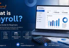 What Is Payroll? Complete Beginner's Guide