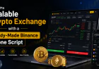 Launch a Scalable Crypto Exchange with a Ready-Made Binance Clone Script