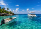 Should You Rent a Boat or Join a Cozumel Boat Tour