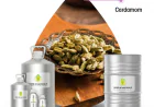 Leading Cardamom Oil Manufacturers for Bulk and Wholesale Supply