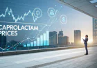 Caprolactam Prices Index and Trend Chart with Quarterly Forecast Prices