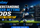 Understanding Soccer Betting Odds Before You Bet