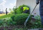 Why Landscape Maintenance in Oneonta, NY Matters