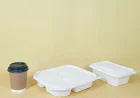 Plastic Packaging Market Size, Trends, and Growth Analysis 2026-2033