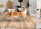 Which Flooring Is Best for Homes with Pets? | Carpet and Flooring Contractor Westford MA