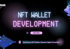 How Can Businesses Develop a Multi-Chain NFT Wallet?