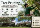 Keep Your Trees Healthy With Professional Tree Pruning in Houston, TX