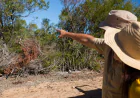 Wildlife Removal Experts in Charleston for Safe, Humane Solutions