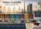 TEREA Flavors: A Guide to Popular IQOS ILUMA Tobacco Stick Flavors in the UAE