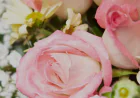 Why Flowers Make Thoughtful Gifts for Life's Little Moments