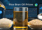 Rice Bran Oil Prices Trend Analysis with Index and Quarterly Forecast Prices