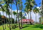 How to Protect Your Lawn From Common Florida Pests and Lawn Problems?