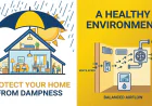 The Hidden Link Between Indoor Moisture and Property Decay
