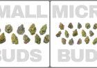 What Does High THCa Really Mean?