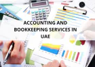 Audit Firms in Dubai for Better Risk and Control Assessment