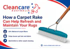 How to Choose the Right Carpet Cleaning Powder for Reliable Results