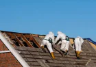 Planning a Commercial Fit-Out? Why Asbestos Testing Should Come First