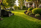 Lawn Maintenance: A Complete Guide to Keeping Your Yard Healthy and Beautiful