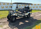 What Determines Golf Cart Auction Prices in Florida?