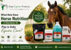 What Role Does Horse Nutrition in Blairstown, NJ Play in Daily Equine Care?