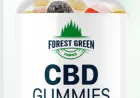 What are Forest Mountain Farms Gummies?