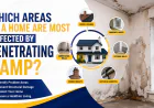 Which Areas of a Home Are Most Affected by Penetrating Damp?
