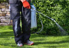 Termite Control 101: Signs, Prevention, and Treatment Options